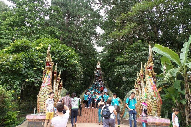 One day Doi Suthep Temple, Palad Temple & Sticky waterfall - Wat Phra That Doi Suthep: Golden Chedi, Pilgrimage Energy, Big Views