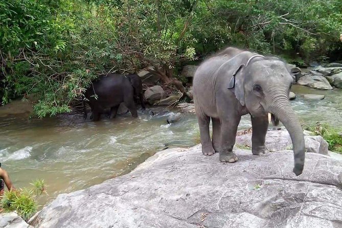 One day Elephants in Nature Experience & Grand Canyon Jumping - Comfort Checklist: How to Prepare for a Long Day