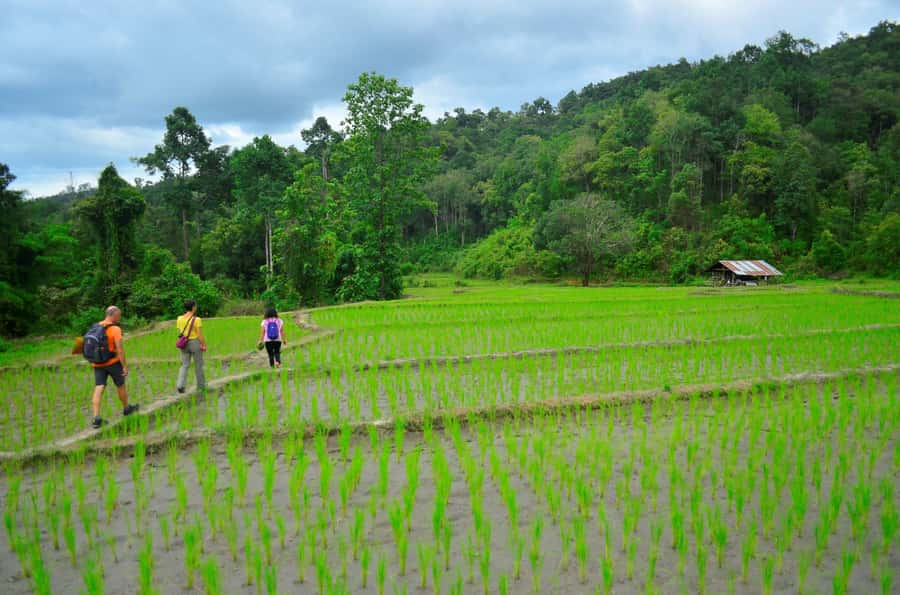 One day hiking tour in Chaing Mai - Morning Pickup and the Local Market Stop