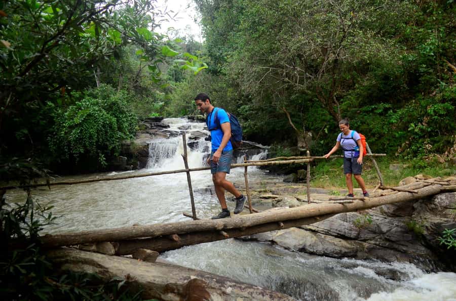 One day hiking tour in Chaing Mai - Rice Fields and the Best Time to Go (June to November)