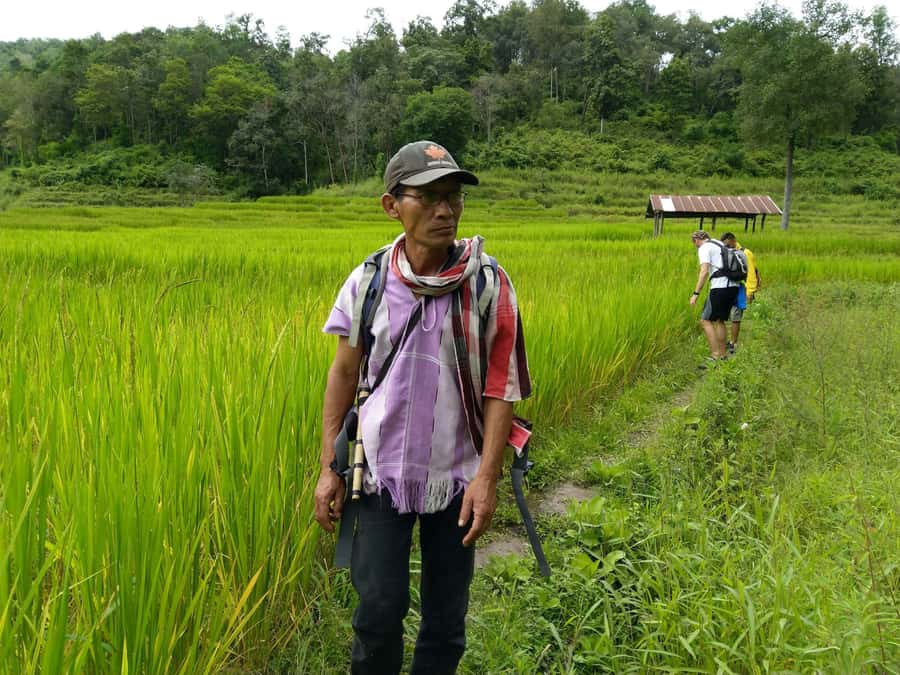 One day hiking tour in Chaing Mai - Should You Book This Tour?