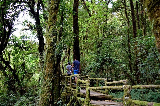 One Day Inthanon National Park (Private Tour) - Pickup, Private Ride, and the Pace You’re Really Buying