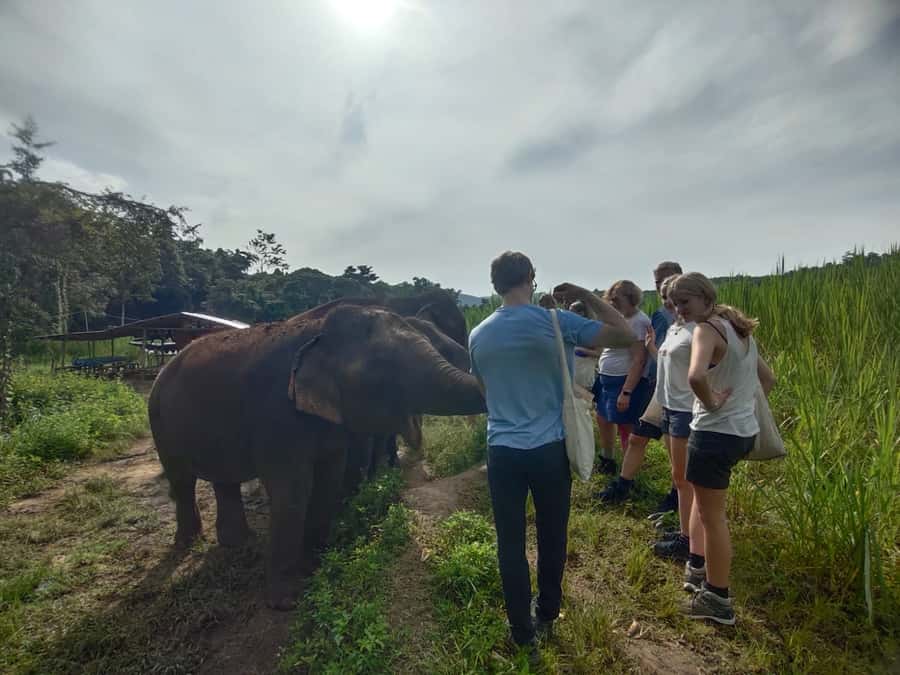 One Day Non Tourist Trek 100% Guarantee - The 3 to 4 Hour Trek in Higher Mountain Jungle