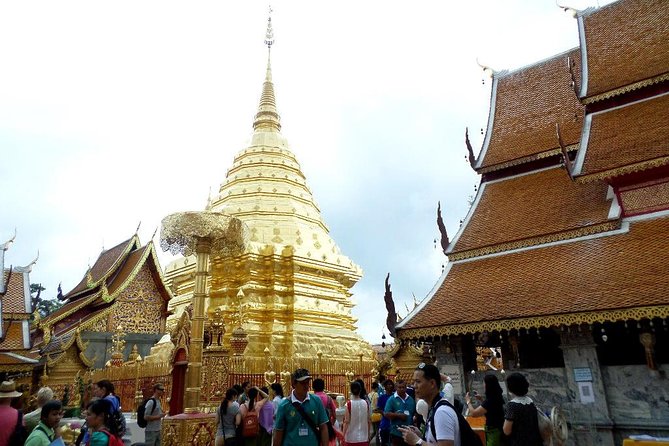One Day Tour Doi Suthep Temple, Palad Temple, Orchid Farm, Longneck hill tribe village (Private tour) - Bai Orchid and Butterfly Farm: the short stop that makes the day feel human