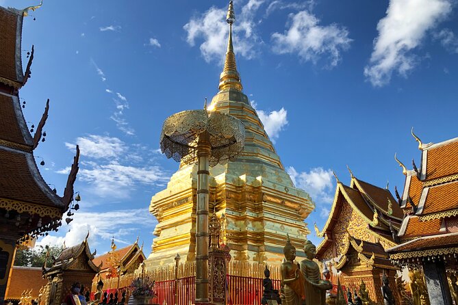 One Day Tour Doi Suthep Temple, Palad Temple, Orchid Farm, Longneck hill tribe village (Private tour) - Khao Soi lunch: included, northern, and actually useful
