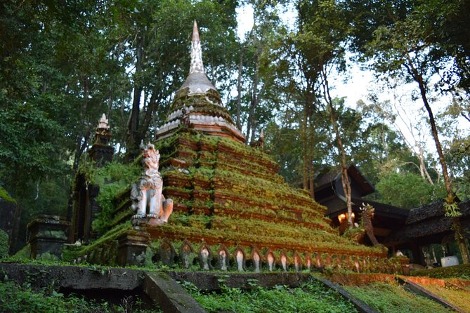 One Day Tour Doi Suthep Temple, Palad Temple, Orchid Farm, Longneck hill tribe village (Private tour) - Private air-conditioned vehicle and guide-driver teamwork