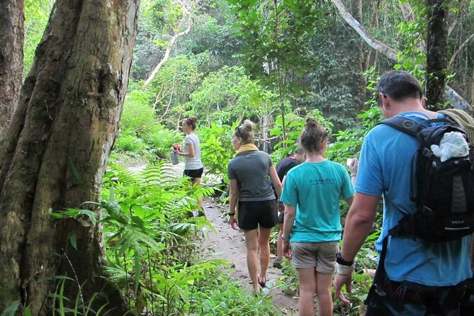 Overnight Mae Taeng highlands Trek from Chiang Mai - Key points you will care about