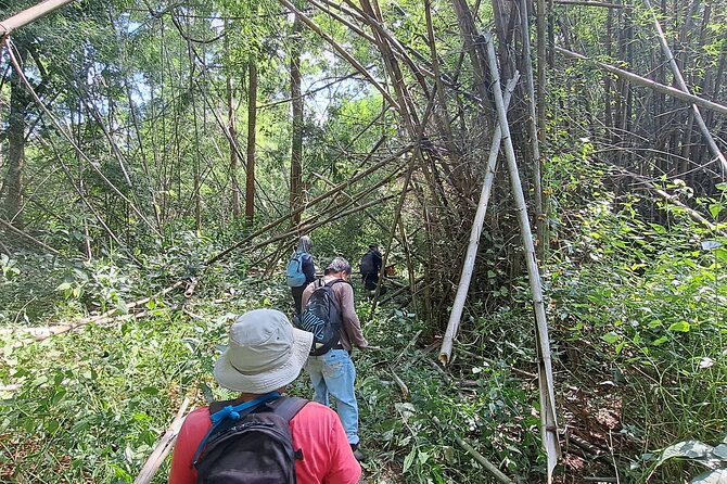 Overnight Mae Taeng highlands Trek from Chiang Mai - From Chiang Mai to Mae Taeng: the smart rhythm
