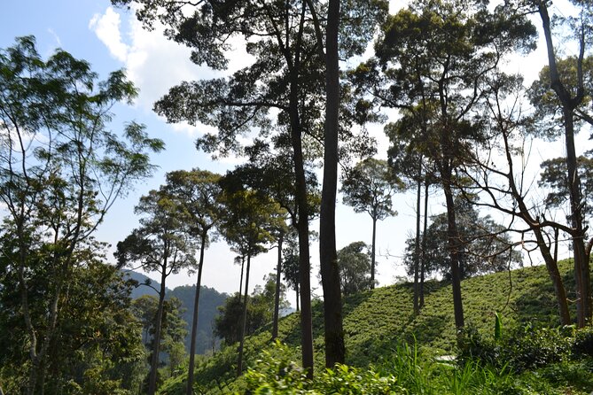 Overnight Mae Taeng highlands Trek from Chiang Mai - Pace and fitness: who this suits best