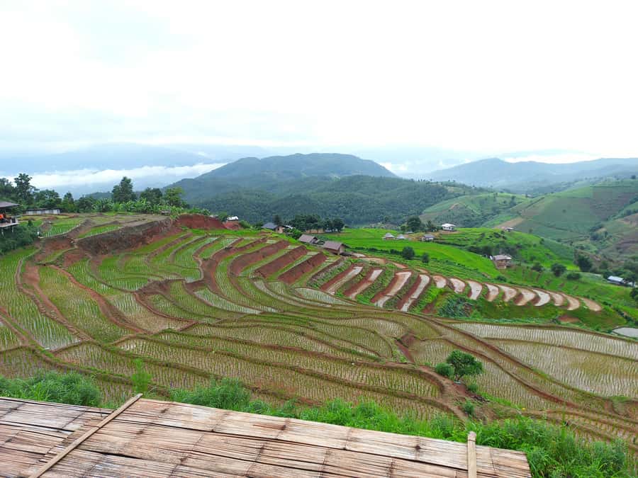 Pa Pong Piang - Key points you will care about most