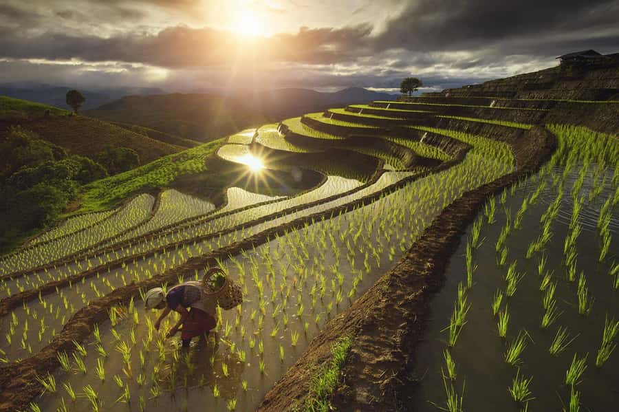 Pa Pong Piang - Where Pa Pong Piang fits in Chiang Mai Province