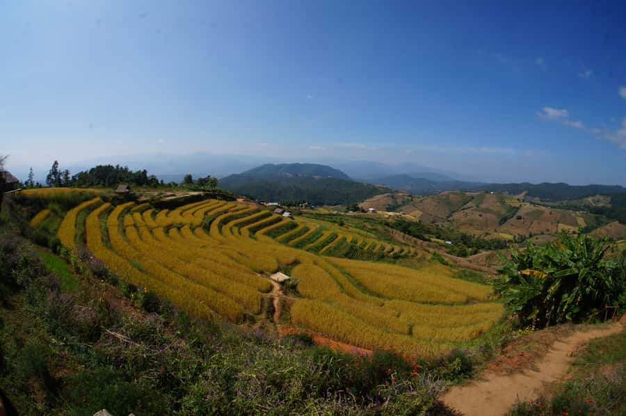 Pa Pong Piang - Best time to go: July to November and what that means for your photos