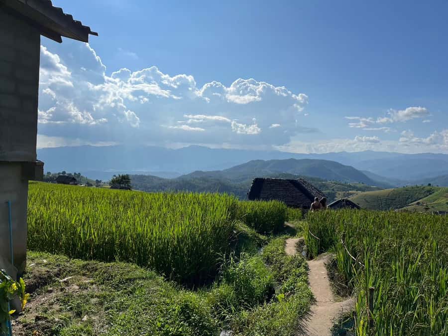 Pa Pong Piang Rice Terraces & Doi Inthanon National Park - Lunch inside the park: eat well, then keep going