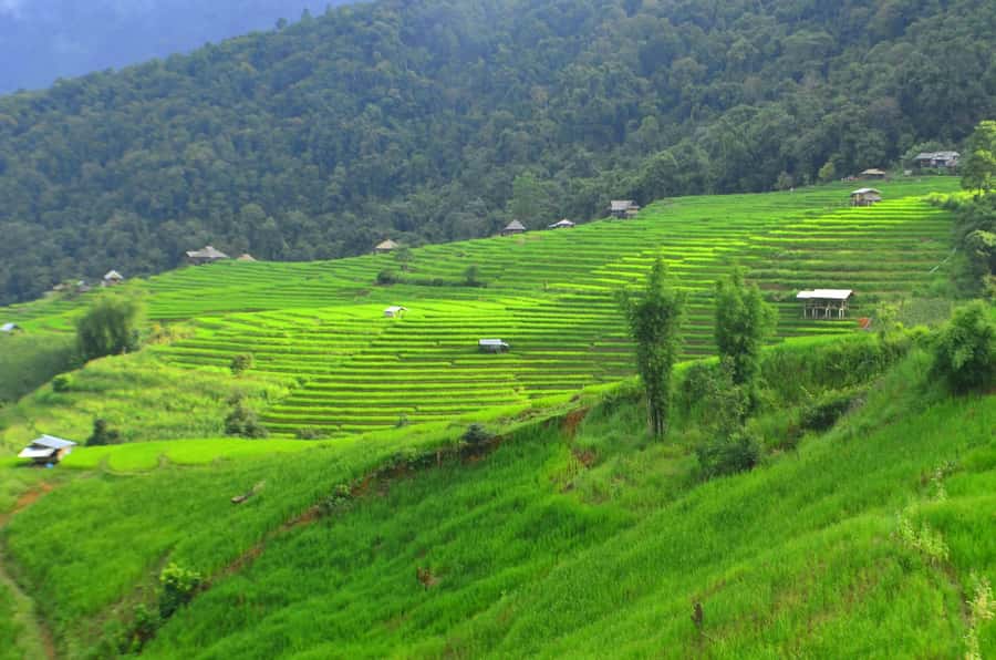 Pa Pong Piang - Price and value: is $160 per person worth it?