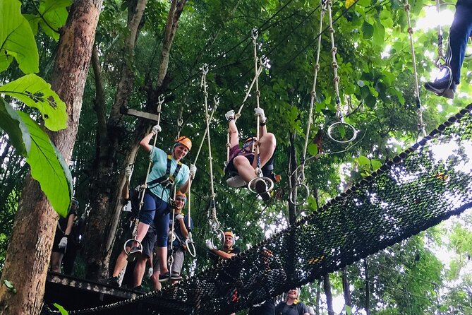 Phoenix Adventure Park Zipline, High Rope Course In Chiang Mai - Who should book Phoenix Adventure Park, and who should skip it