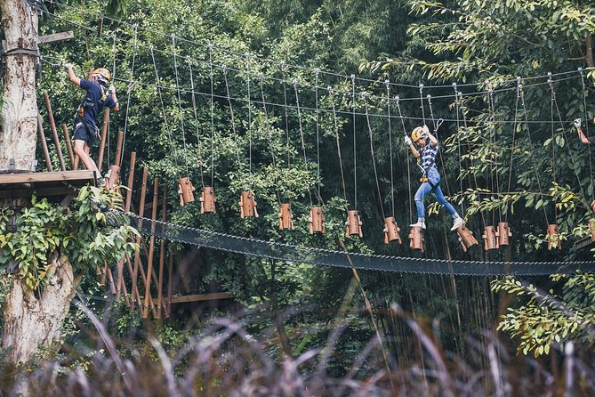 Phoenix Zipline Adventure Park – Chiang Mai Thrills - Safety and comfort: harnesses, briefings, and what you must be able to do