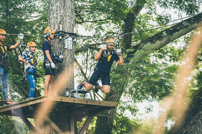 Phoenix Zipline Adventure Park – Chiang Mai Thrills - The treetop challenge circuit: nets, beams, vines, and buffalo bells