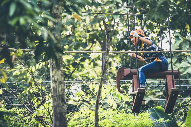 Phoenix Zipline Adventure Park – Chiang Mai Thrills - Who should book Phoenix Zipline Adventure Park in Chiang Mai