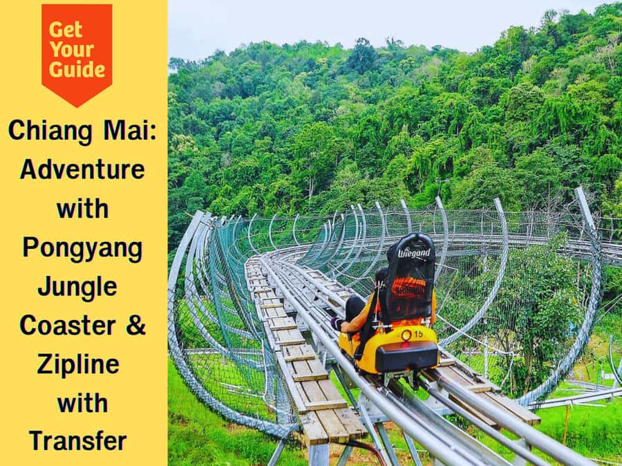 Pongyang Jungle Coaster & Zipline (Transfer) - Key Points You’ll Care About