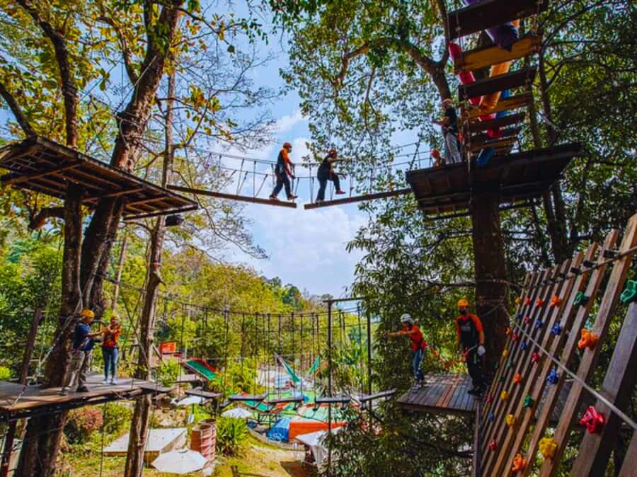 Pongyang Jungle Coaster & Zipline (Transfer) - Transfer Plan in Chiang Mai City: Easy Pickup, Realistic Limits