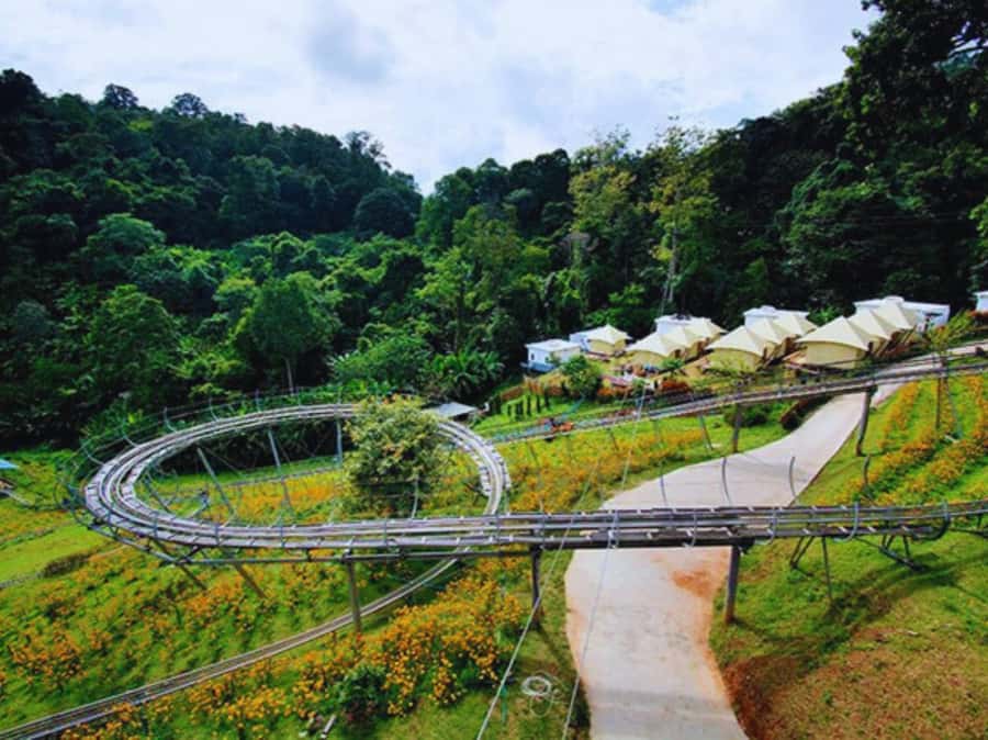 Pongyang Jungle Coaster & Zipline (Transfer) - Price and Value: Is $88 Good Here?