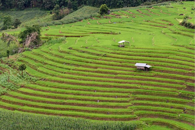 Private 4 day Tour in Chiang Mai and Chiang Rai - Practical tips that keep the trip smooth