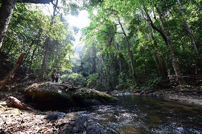 Private All-Inclusive Doi Inthanon & Pha Dok Siew Waterfall Tour - Karen Hill Tribe village at Ban Mae Klang Luang and a coffee stop