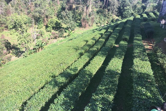 Private Chiang Mai-Chiang Rai Highlights 4 days trip - Travel style, timing, and what you should pack mentally