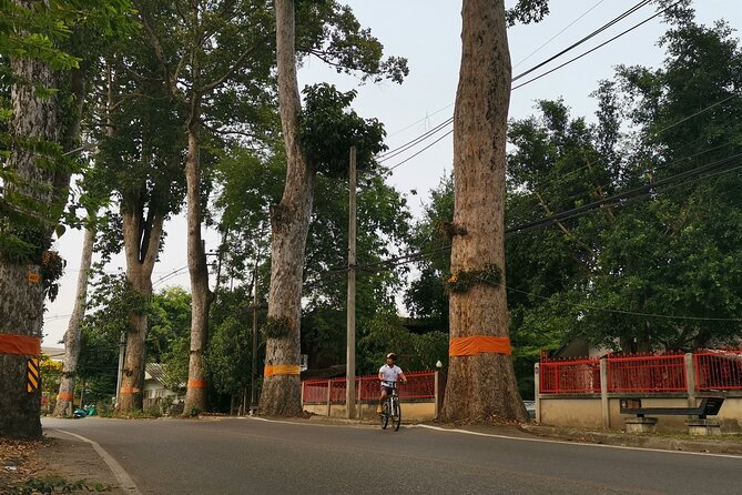 Private Chiang Mai Half-Day Bike Tour - A four-hour Chiang Mai loop with real time to look, not just ride