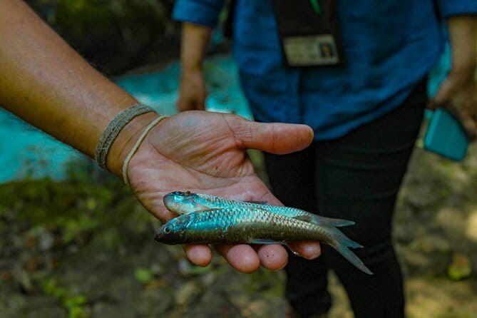 Private Chiang Mai Nature Hiking Visiting Karen Tribe Village - Optional school visit if you have time