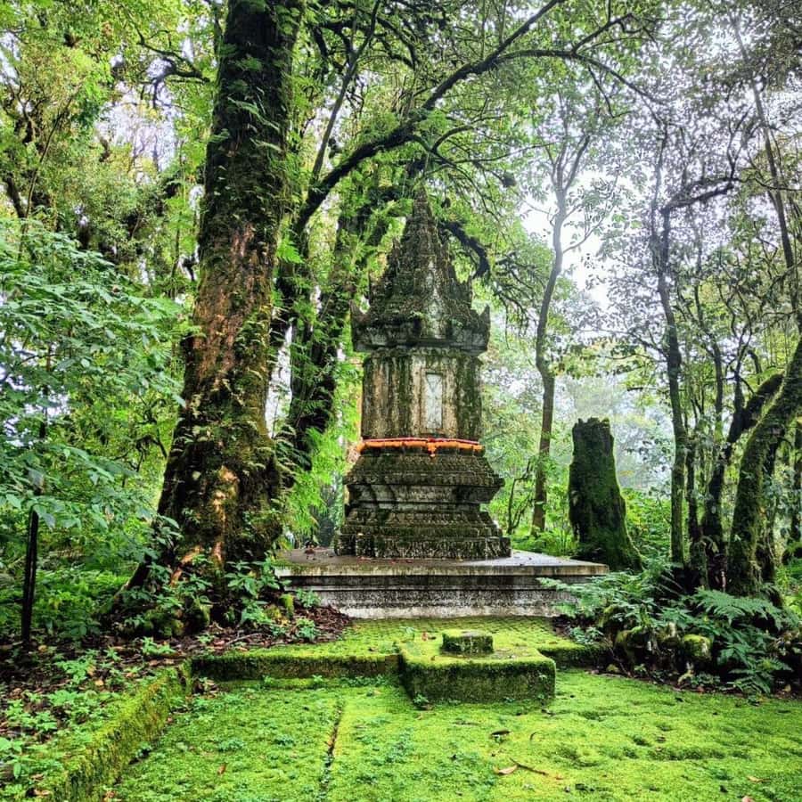 Private Doi Inthanon National Park Sightseeing Day Tour - Key highlights worth planning around