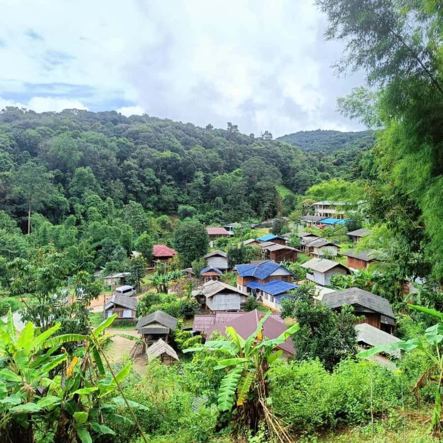 Private Doi Inthanon National Park Sightseeing Day Tour - Timing, comfort, and what to pack for cold, humid mountain weather