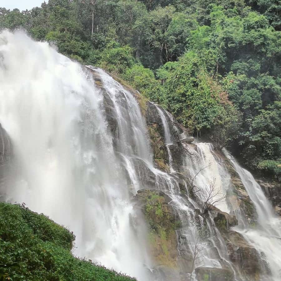 Private Doi Inthanon, Nature Trail, Wat Phra That Doi Kham - Hill Tribe Village Coffee: Where the Trek Lands