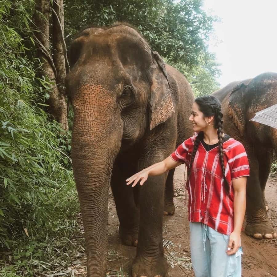 Private Doi Inthanon, Nature Trail, Wat Phra That Doi Kham - Pha Dok Siew Nature Trail: A Trek That’s More Than Just Walking