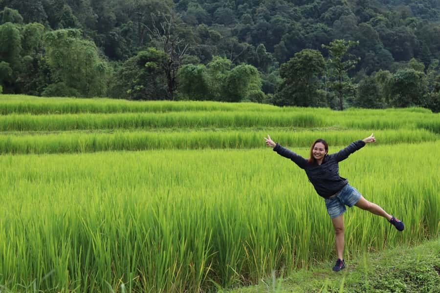 Private Doi Inthanon With Trekking Pha Dok Siew Nature Trail - A 9-hour private day in Chiang Mai Province’s coolest highlands