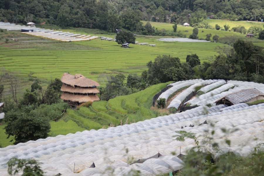 Private Doi Inthanon With Trekking Pha Dok Siew Nature Trail - King and Queen’s pagodas: gardens plus views that earn the detour