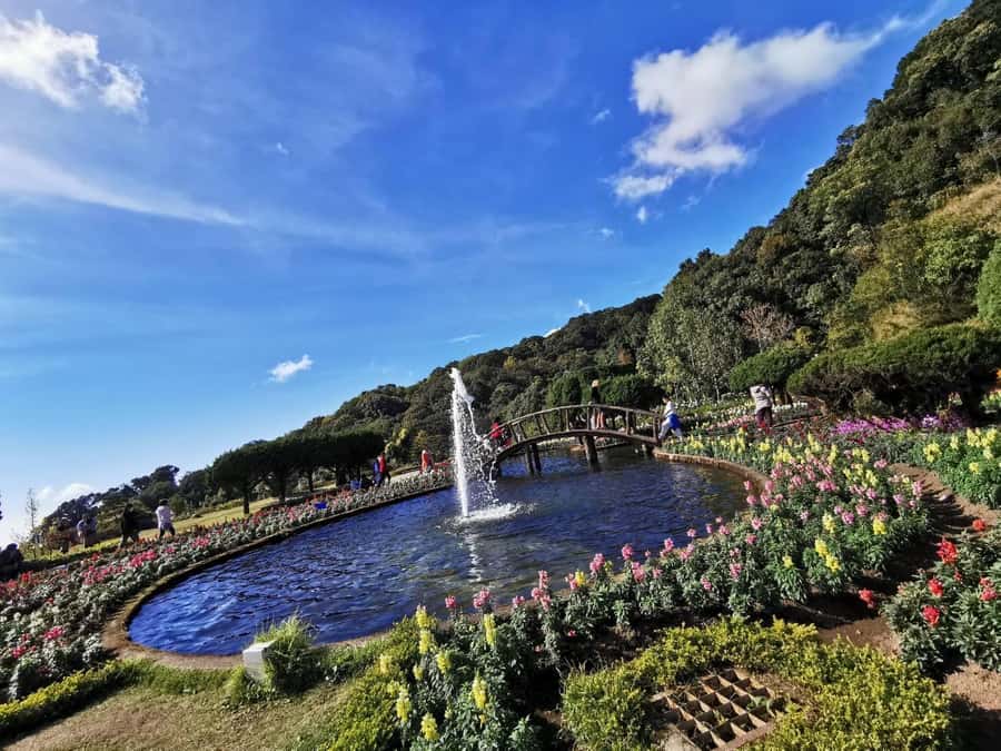 Private Doi Inthanon With Trekking Pha Dok Siew Nature Trail - Chiang Mai pickup and the easy, air-conditioned start
