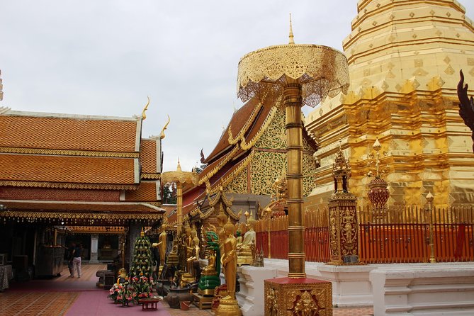Private! Morning alms&Doi suthep&Wat Umong + Monjam & Hill tribe& Royal Project - Why this Chiang Mai morning alms day works