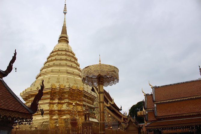 Private! Morning alms&Doi suthep&Wat Umong + Monjam & Hill tribe& Royal Project - Stop 3: Baan Tong Luang hill tribe village and the people behind the culture