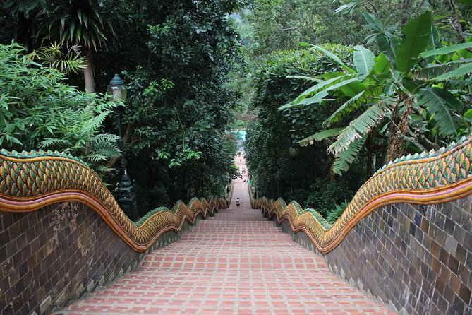 Private! Morning alms&Doi suthep&Wat Umong + Monjam & Hill tribe& Royal Project - Stop 5: Mon Jam mountain views, terraces, and planning your own lunch
