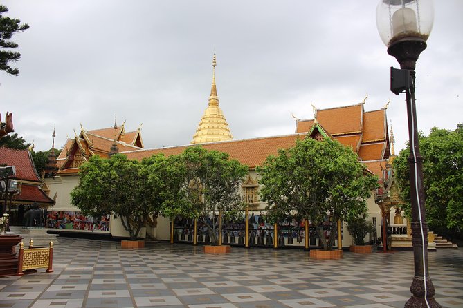 Private! Morning alms&Doi suthep&Wat Umong + Monjam & Hill tribe& Royal Project - Timing and comfort: what it feels like as one long day
