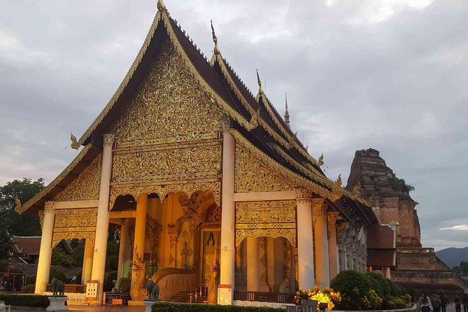 Private Program Discovery Chiang Mai - Half/Full day / Night tour - Night Bazaar vs Tha Pae Walking Street: choosing the right evening