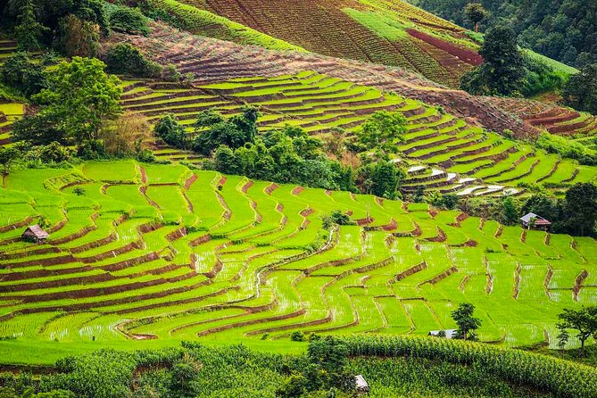 Private Program Discovery Chiang Mai - Half/Full day / Night tour - The human side: Marco and Sandrine, Edo, EMME, and Gianni