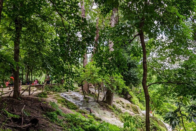 Private Tour: Bua Thong Sticky Waterfalls Tour - Bua Thong Sticky Waterfalls: The Real Reason It Feels Different