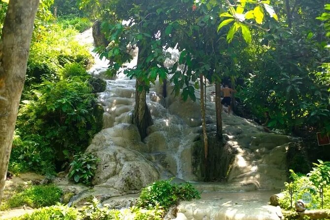 Private Tour: Bua Thong Sticky Waterfalls Tour - Higher Tiers and the Top Excursion Area