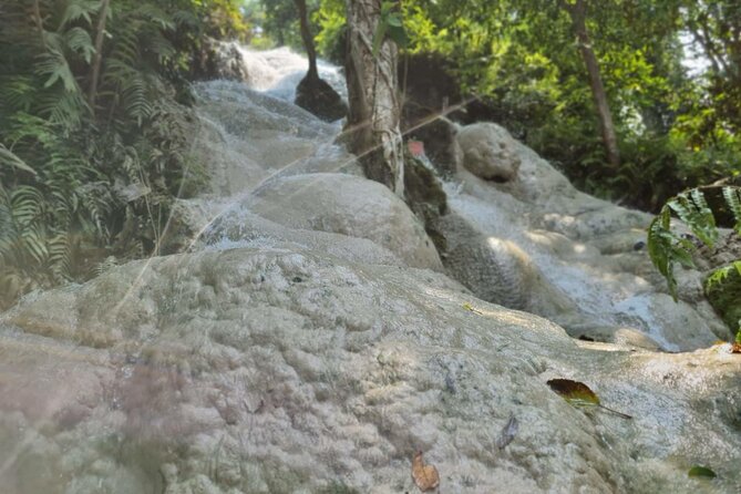 Private Tour: Bua Thong Sticky Waterfalls Tour - Price and Value for a $105.41 Private Half-Day