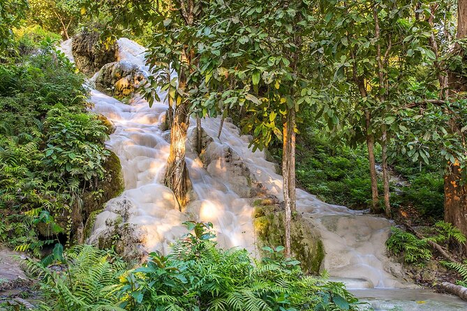 Private Tour: Bua Thong Sticky Waterfalls Tour - How the 4-Hour Private Schedule Works From Chiang Mai