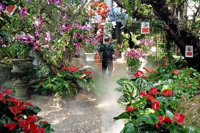 Private Tour Chiang Rai 3 Wonderful Temples & Lalitta Cafe - Wat Rong Seur Ten (Blue Temple): modern design meets traditional values