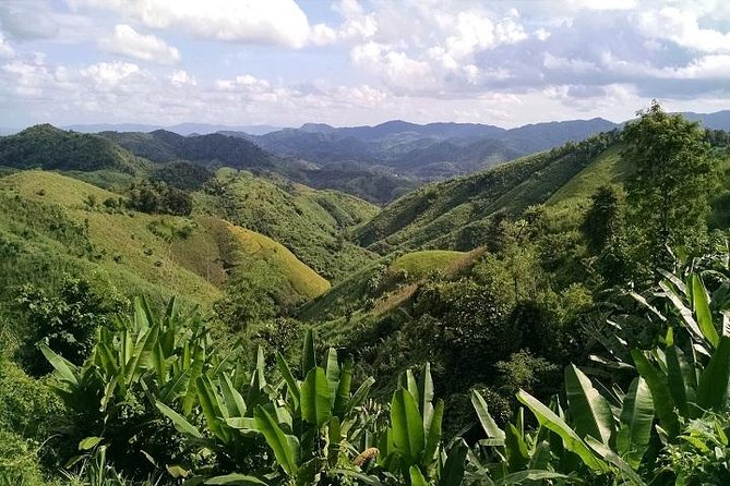 Private Tour: Chiang Rai Golden Triangle Day Trip from Chiang Mai - Mekong River cruise to Don Sao: the calm break, plus a passport checkpoint