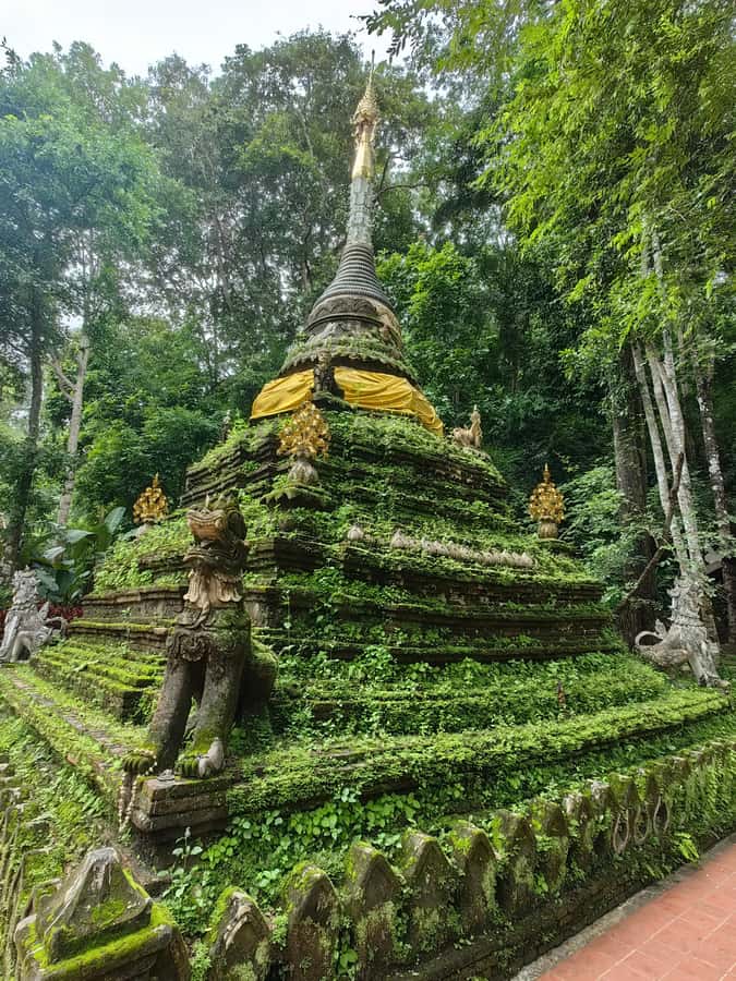 Private tour Chiangmai , Explore hidden gems Lanna temple - Wat Umong: the forest temple with underground meditation tunnels